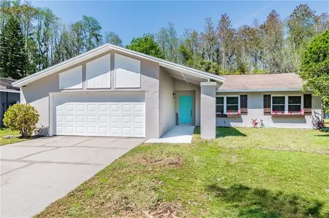 5425 Ripple Creek Drive Tampa FL 33625