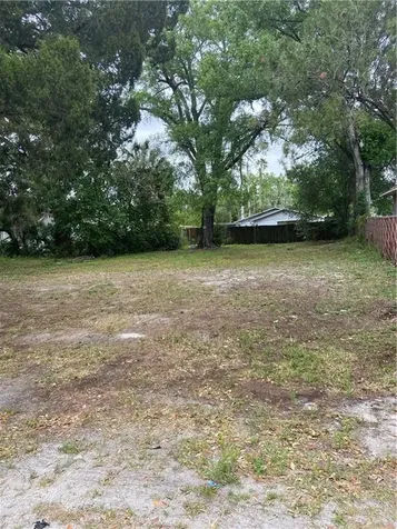 2906 E Chelsea Street Tampa FL 33610