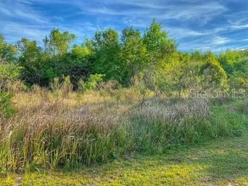 1737 Lakewood Road Davenport FL 33837