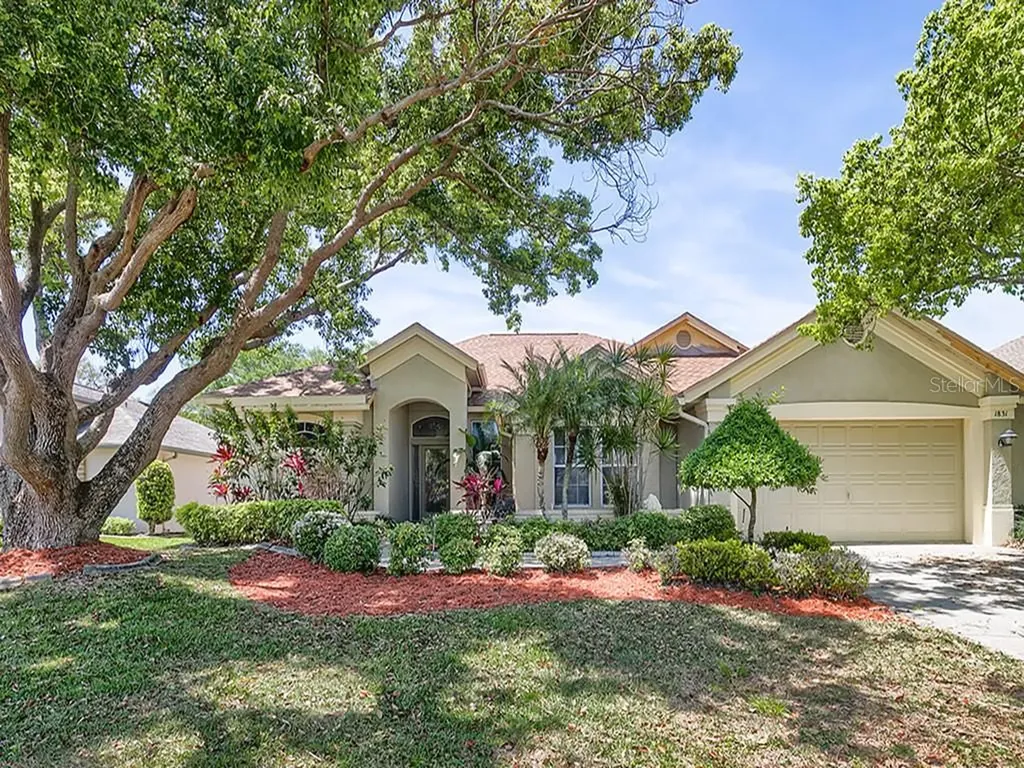 1831 Painted Bunting Circle Palm Harbor FL 34683