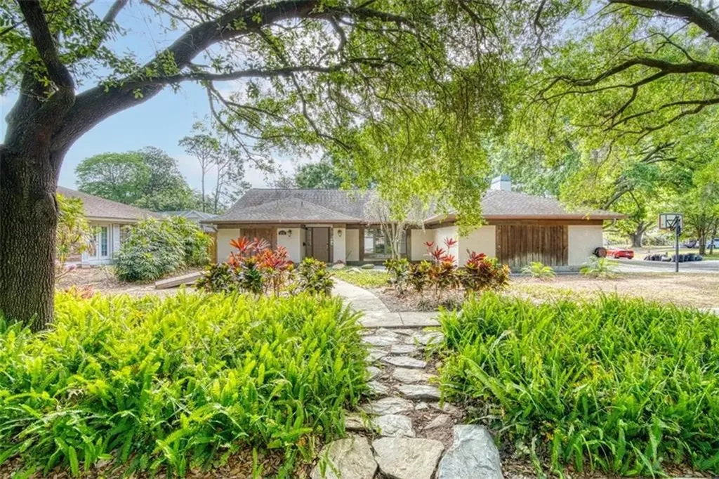 11713 Plumosa Road Tampa FL 33618