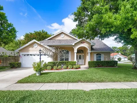 712 Sunflower Drive Palm Harbor FL 34683