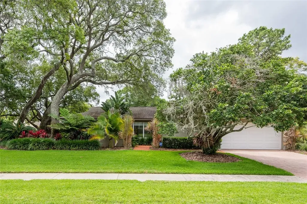 4216 Meadow Hill Drive Tampa FL 33618