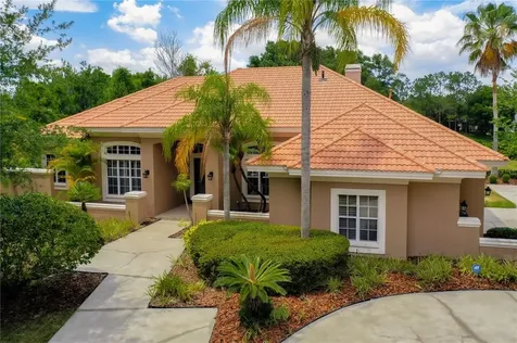 8920 Magnolia Chase Circle Tampa FL 33647