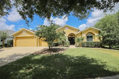 6007 Palomaglade Drive Lithia FL 33547