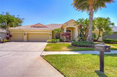 10542 Greensprings Drive Tampa FL 33626