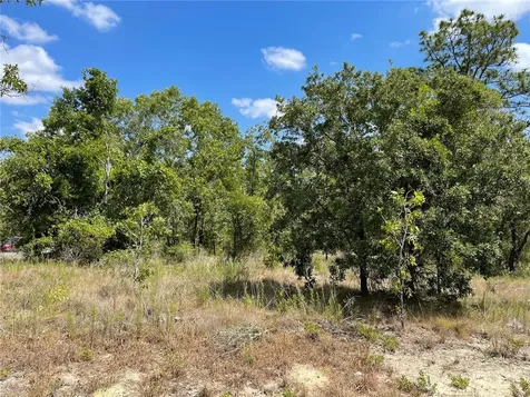 12441 House Finch Road Weeki Wachee FL 34614