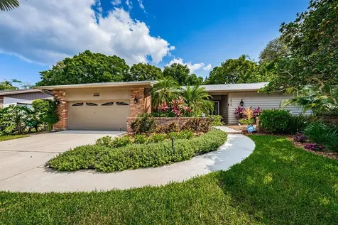 1412 Treetop Drive Palm Harbor FL 34683