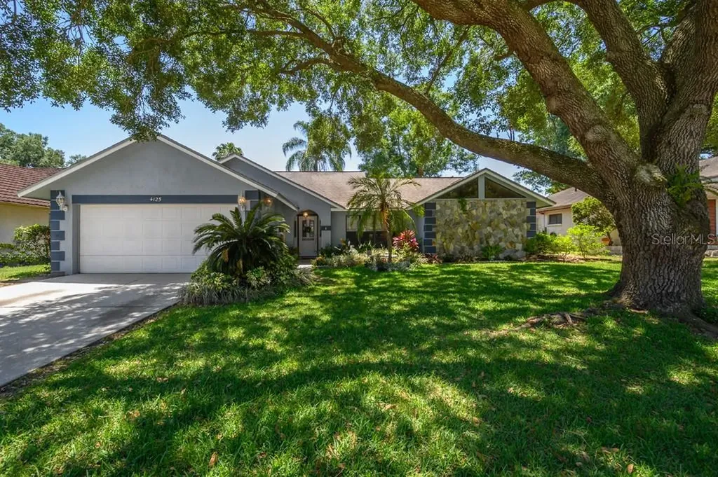 4125 Yellowwood Drive Valrico FL 33594