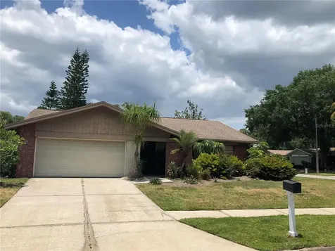 4007 Barwood Court Tampa FL 33624
