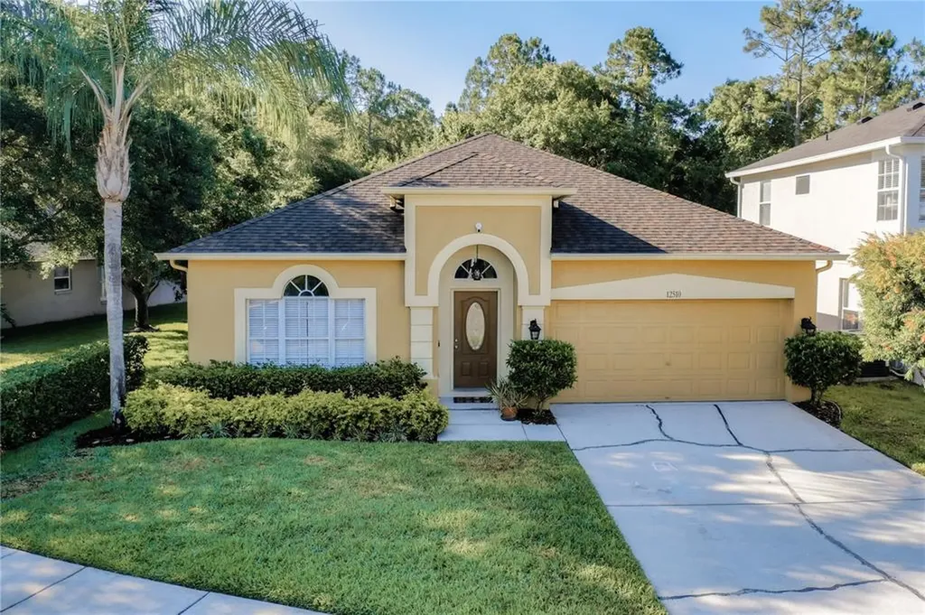 12510 Blazing Star Drive Tampa FL 33626