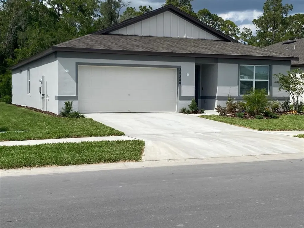 30309 Marquette Avenue Wesley Chapel FL 33545