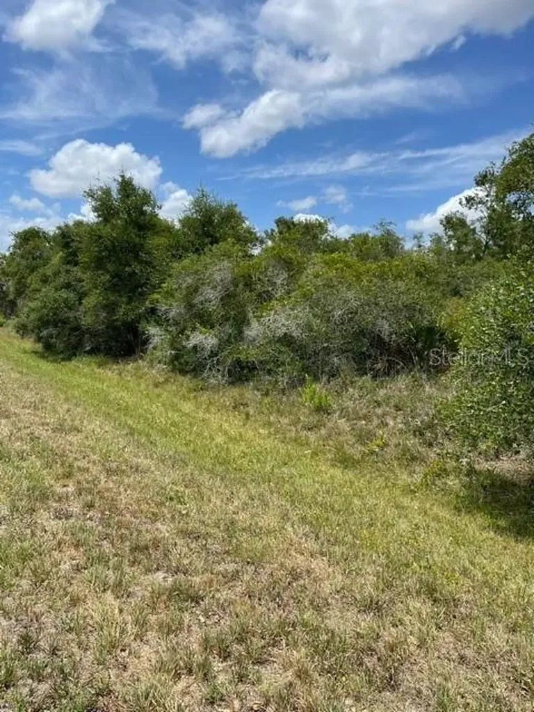 33514, 33522,33528 Washington Loop Road Punta Gorda FL 33982