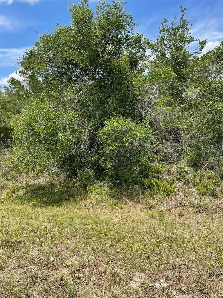 33514, 33522,33528 Washington Loop Road Punta Gorda FL 33982