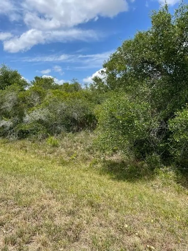 33514, 33522,33528 Washington Loop Road Punta Gorda FL 33982