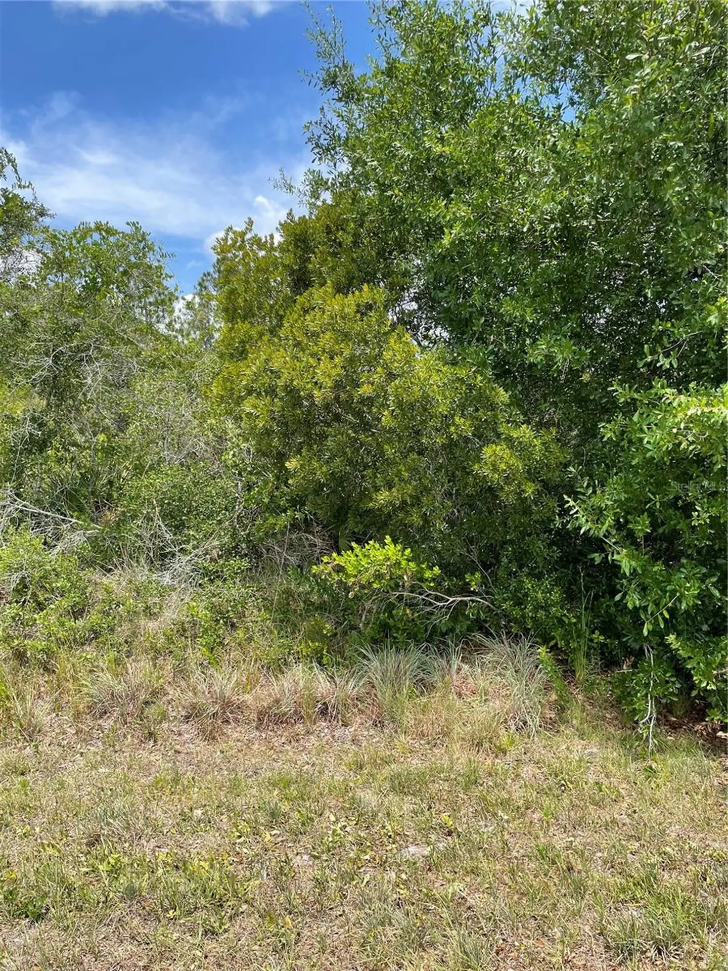 33514, 33522,33528 Washington Loop Road Punta Gorda FL 33982