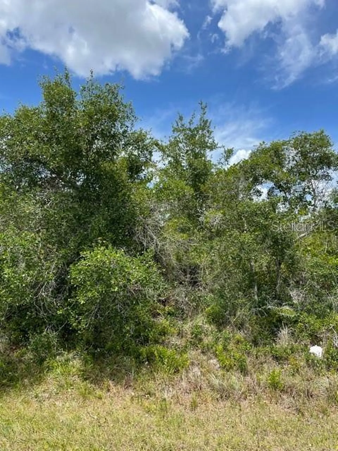33514, 33522,33528 Washington Loop Road Punta Gorda FL 33982