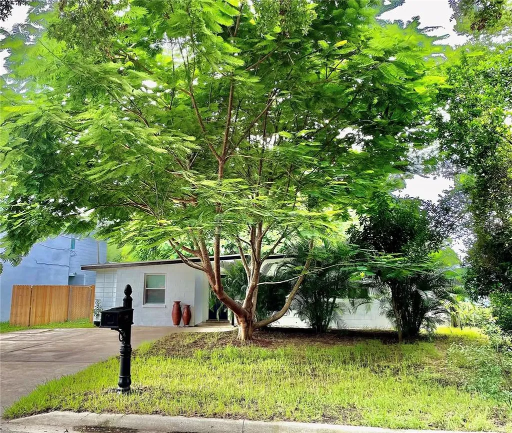 3106 Williams Street Orlando FL 32806