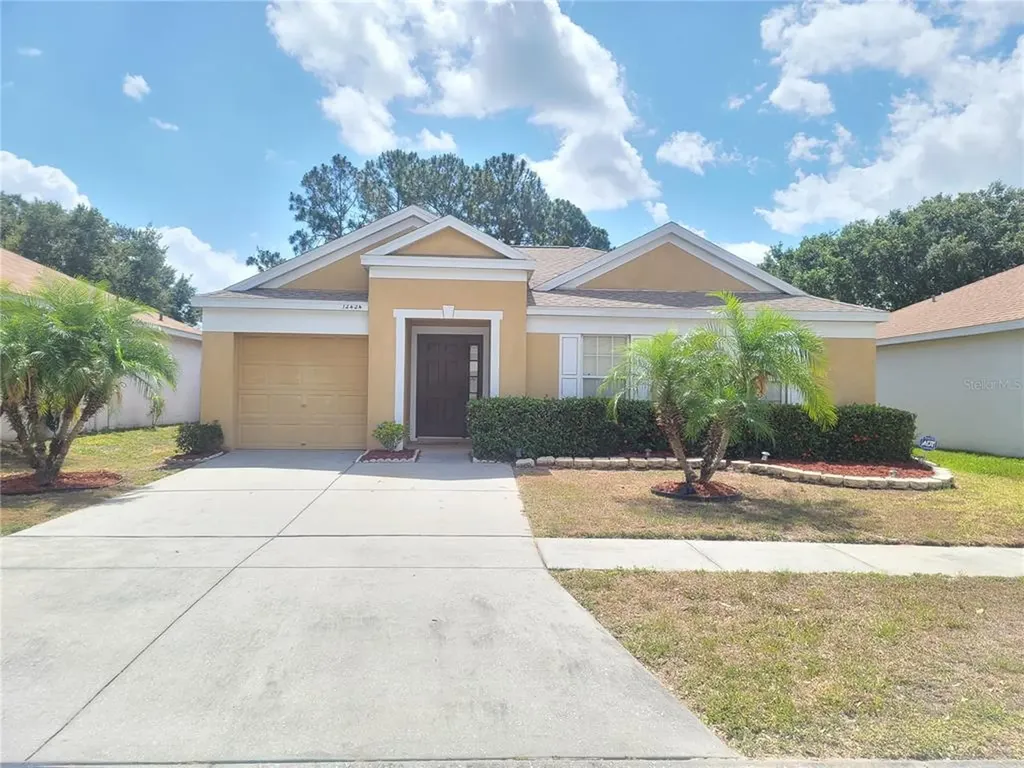 12424 Dawn Vista Drive Riverview FL 33578