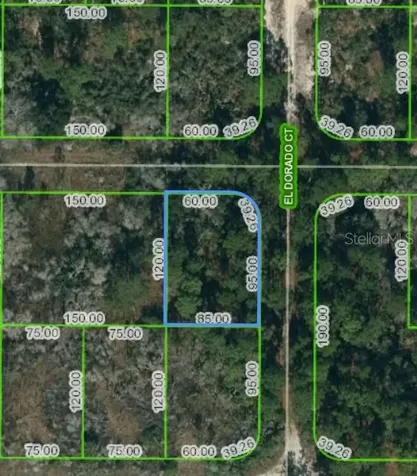 251 Tannery Lane Lake Placid FL 33852