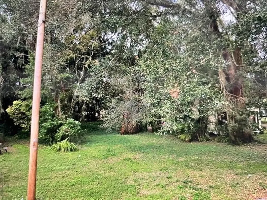 1712 NE Lambright Street Tampa FL 33610