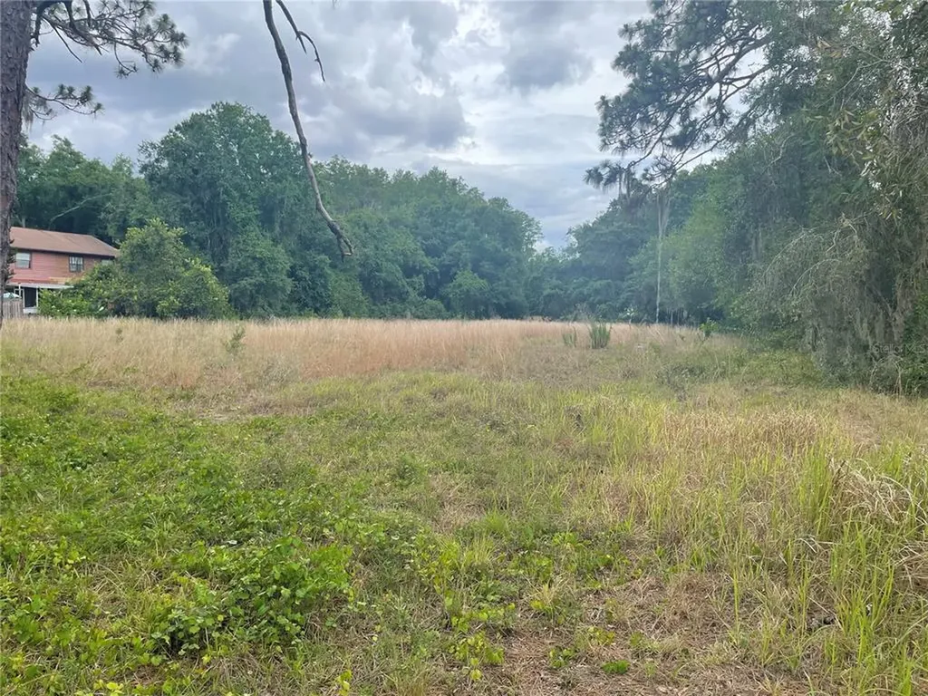 5302 Lake Le Clare Road Lutz FL 33558