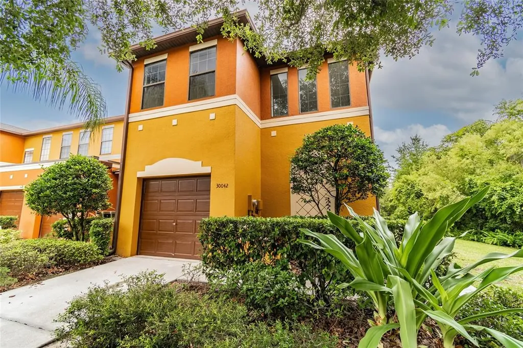 30042 Mossbank Drive Wesley Chapel FL 33543