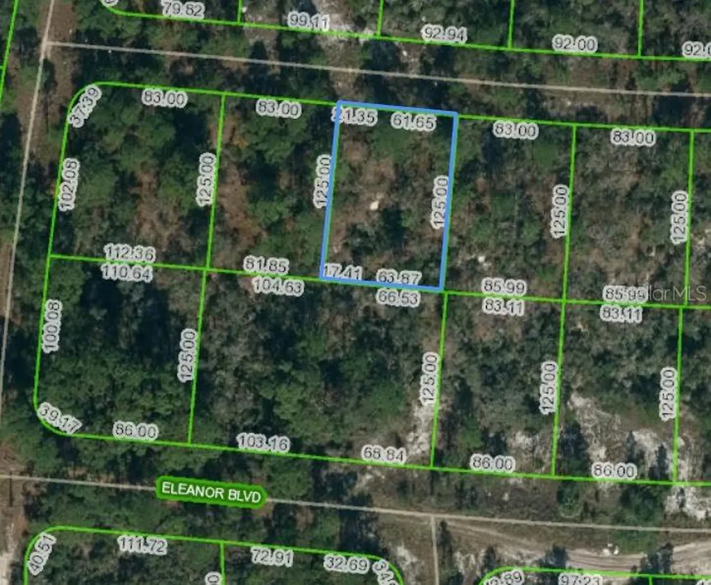 353 Paradise Avenue Lake Placid FL 33852
