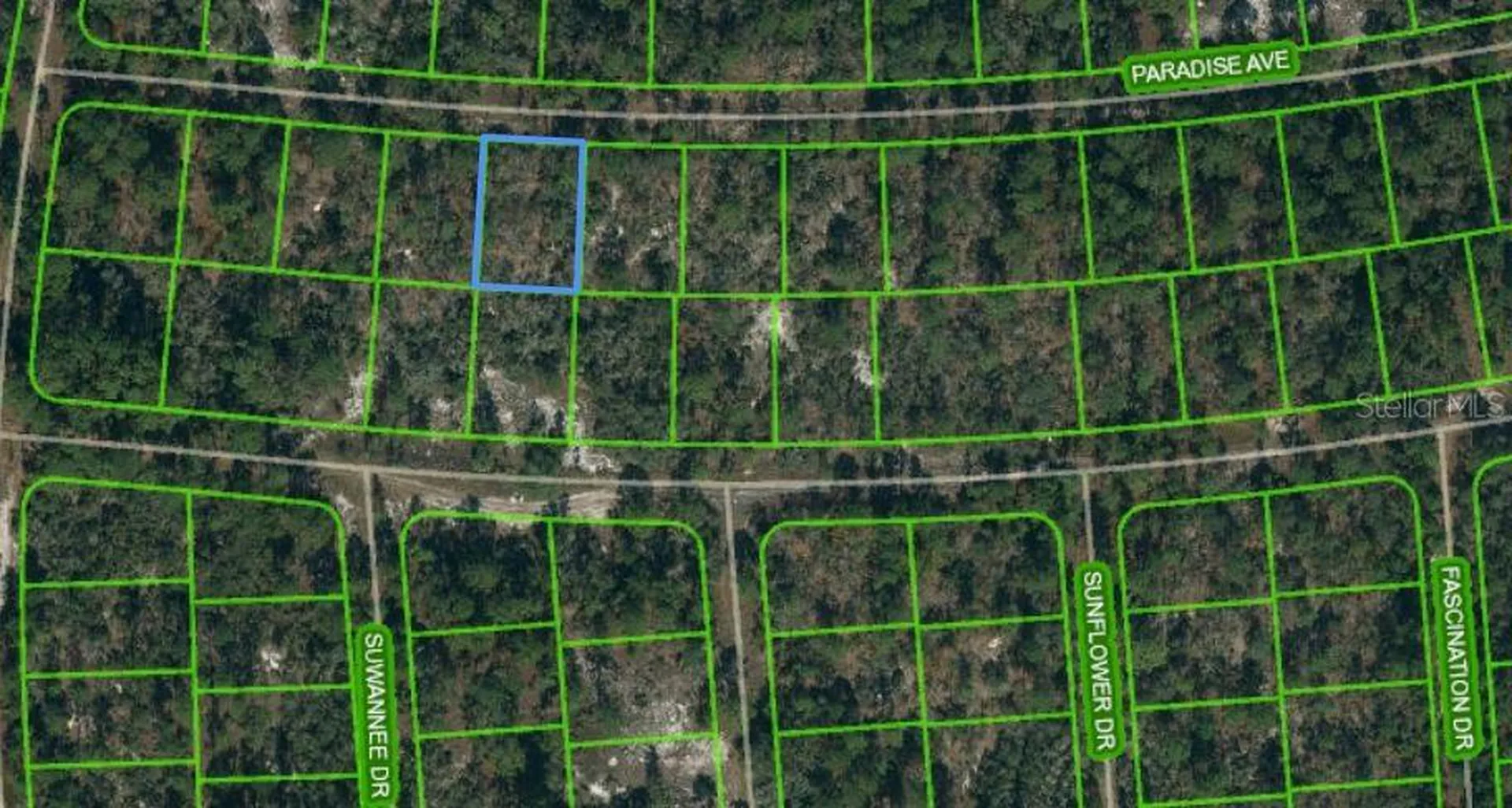 357 Paradise Avenue Lake Placid FL 33852