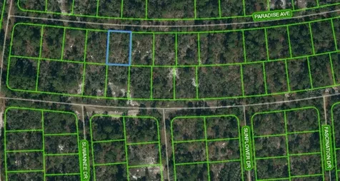357 Paradise Avenue Lake Placid FL 33852