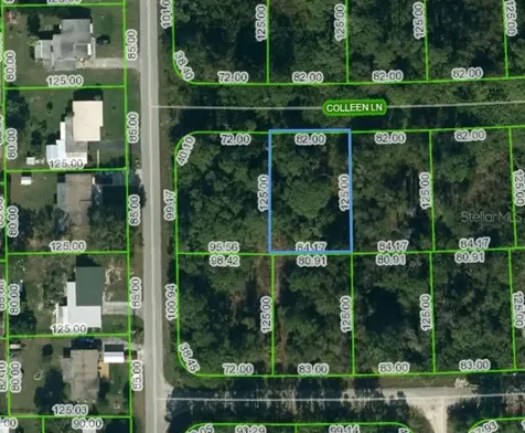 205 Colleen Lane Lake Placid FL 33852