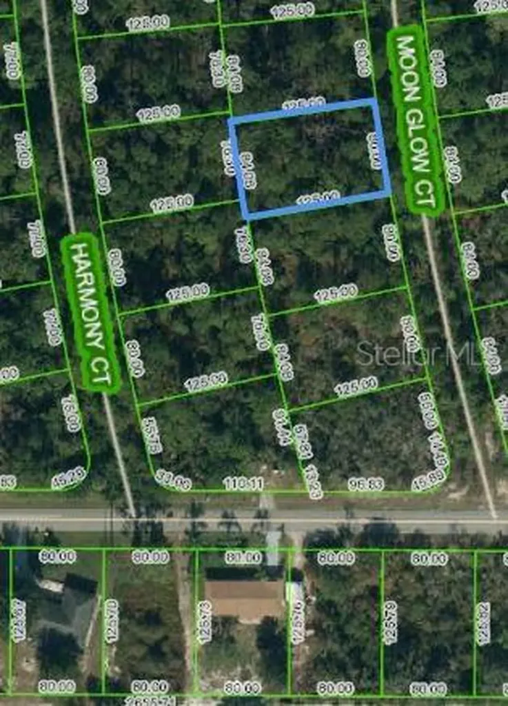 216 Moon Glow Court Lake Placid FL 33852