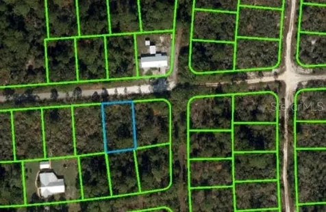 239 Eleanor Boulevard Lake Placid FL 33852