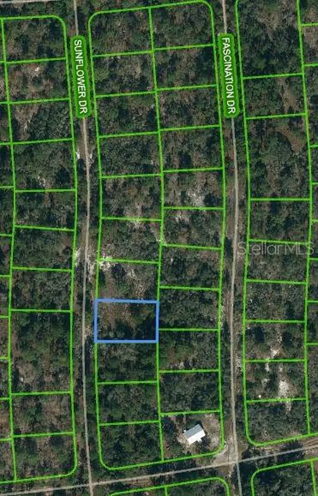 249 Sunflower Avenue Lake Placid FL 33852