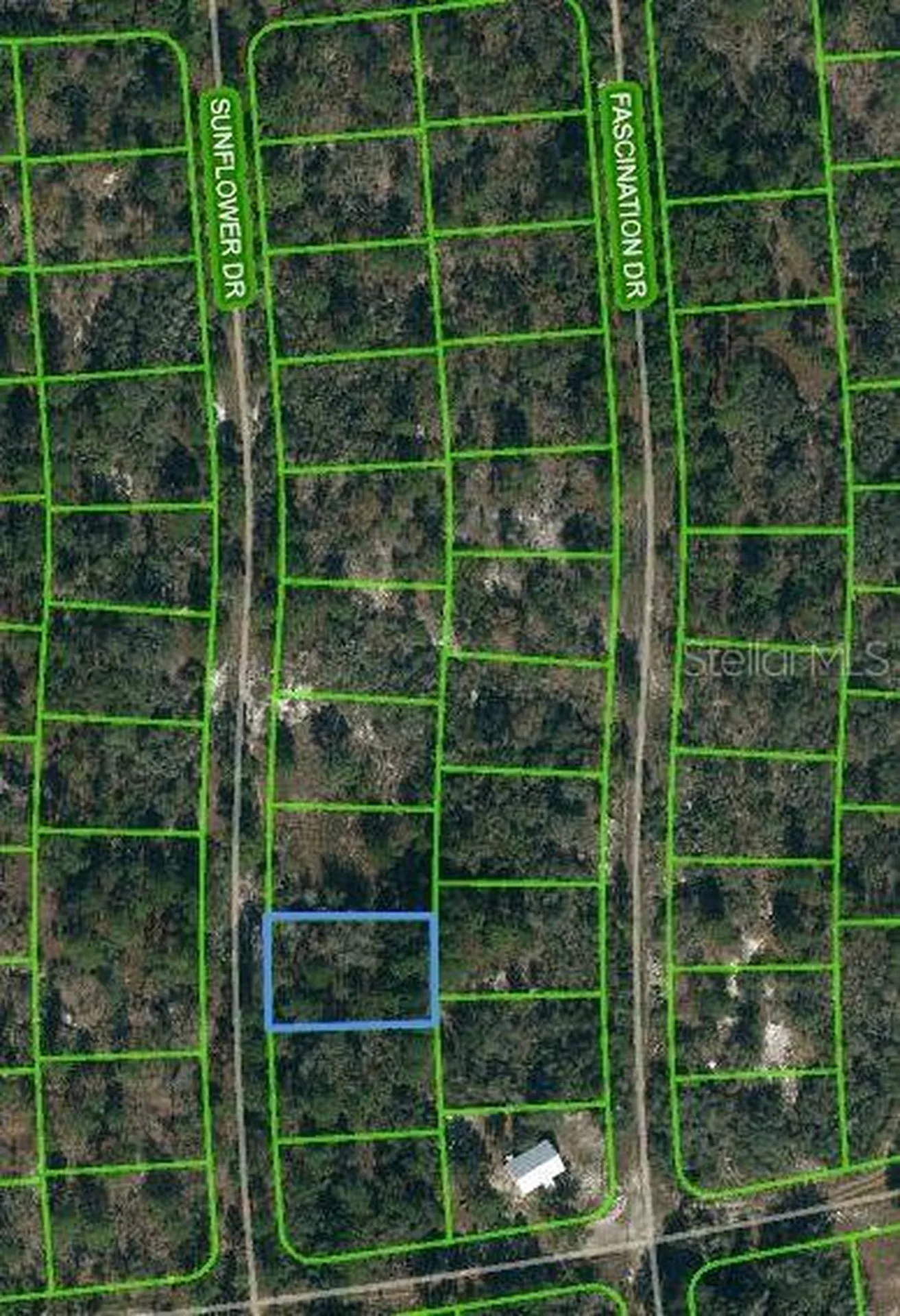 245 Sunflower Avenue Lake Placid FL 33852