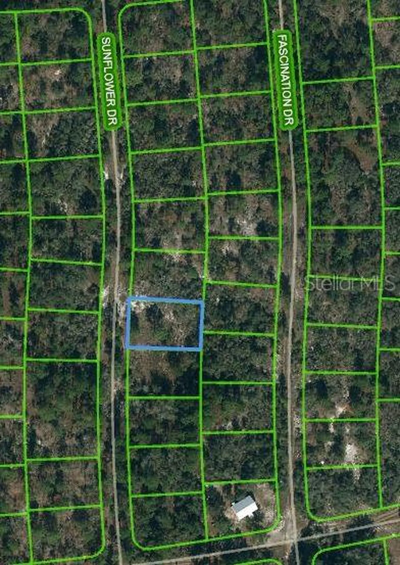 253 Sunflower Avenue Lake Placid FL 33852