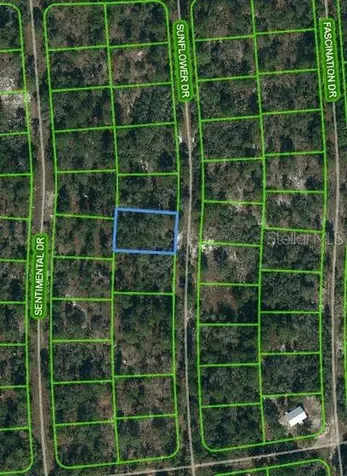 256 Sunflower Avenue Lake Placid FL 33852