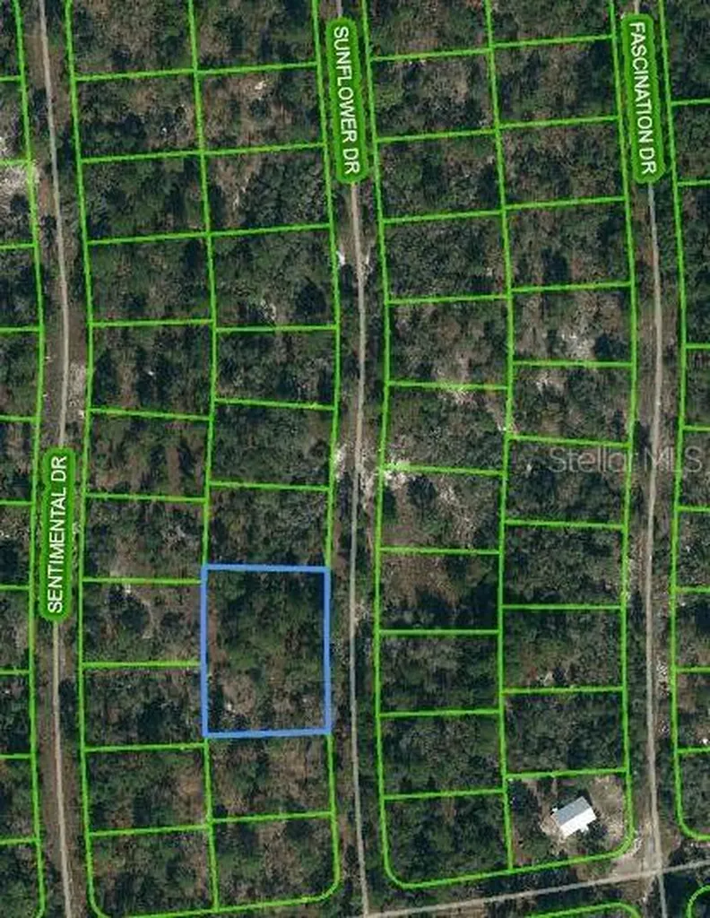 244 Sunflower Drive Lake Placid FL 33852