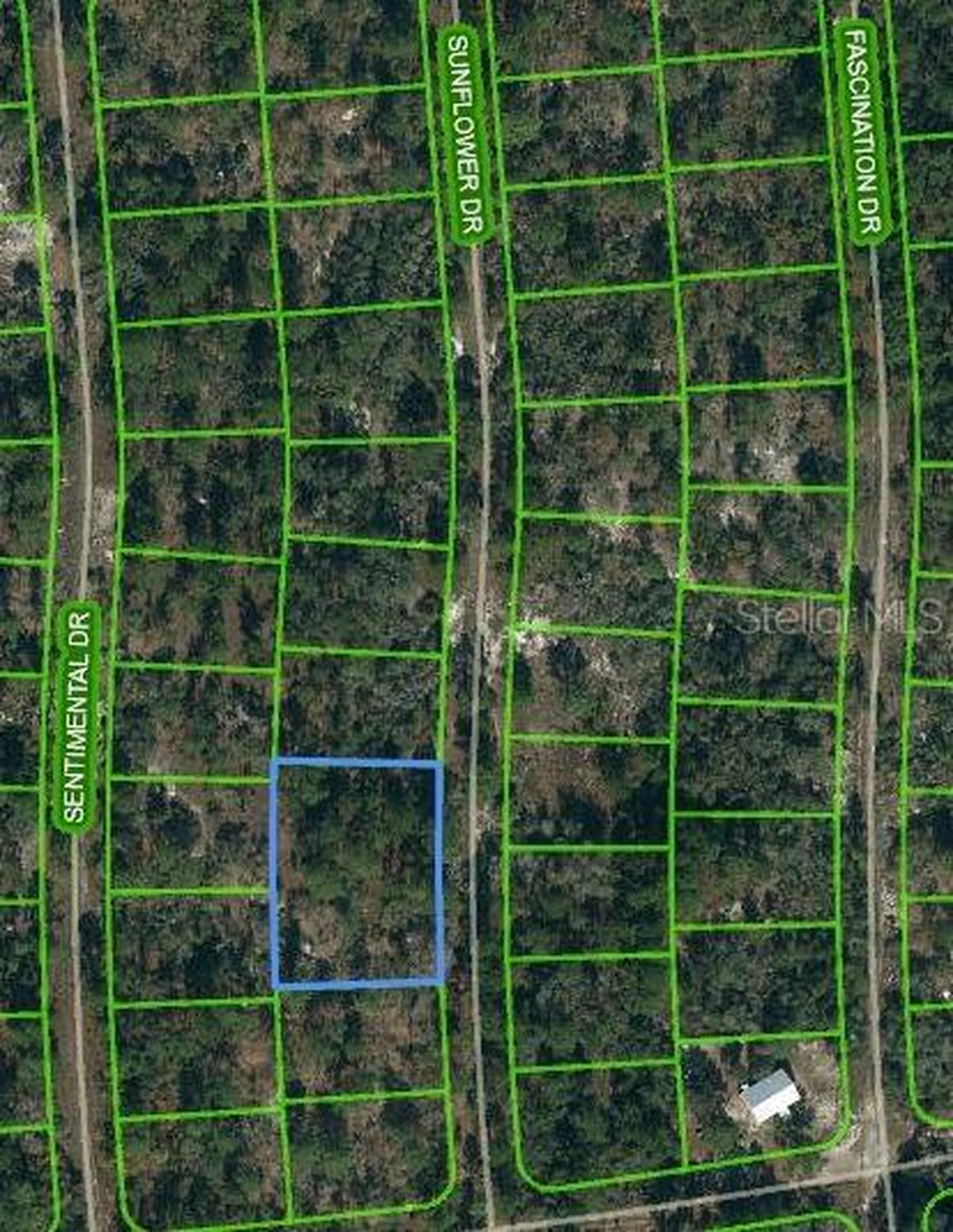 244 Sunflower Drive Lake Placid FL 33852