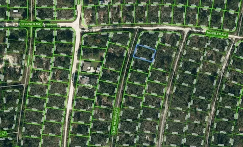 325 Blue Heaven Drive Lake Placid FL 33852
