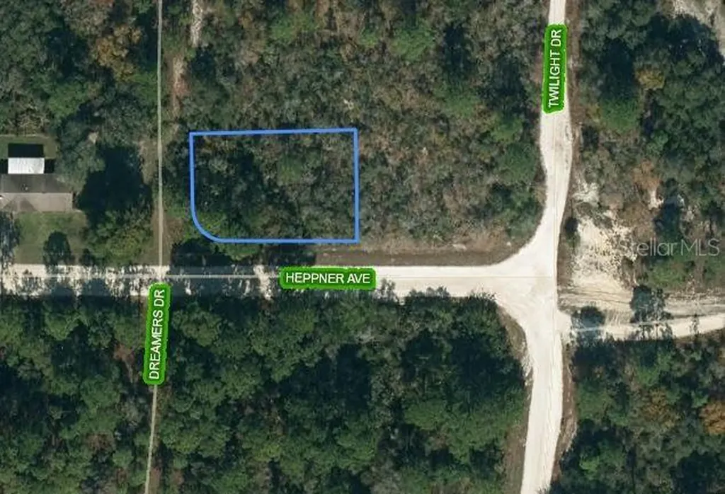 349 Dreamers Drive Lake Placid FL 33852