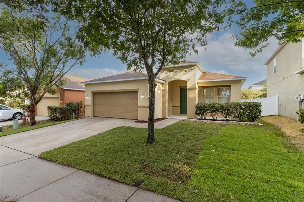 11145 Goldenrod Fern Drive Riverview FL 33569