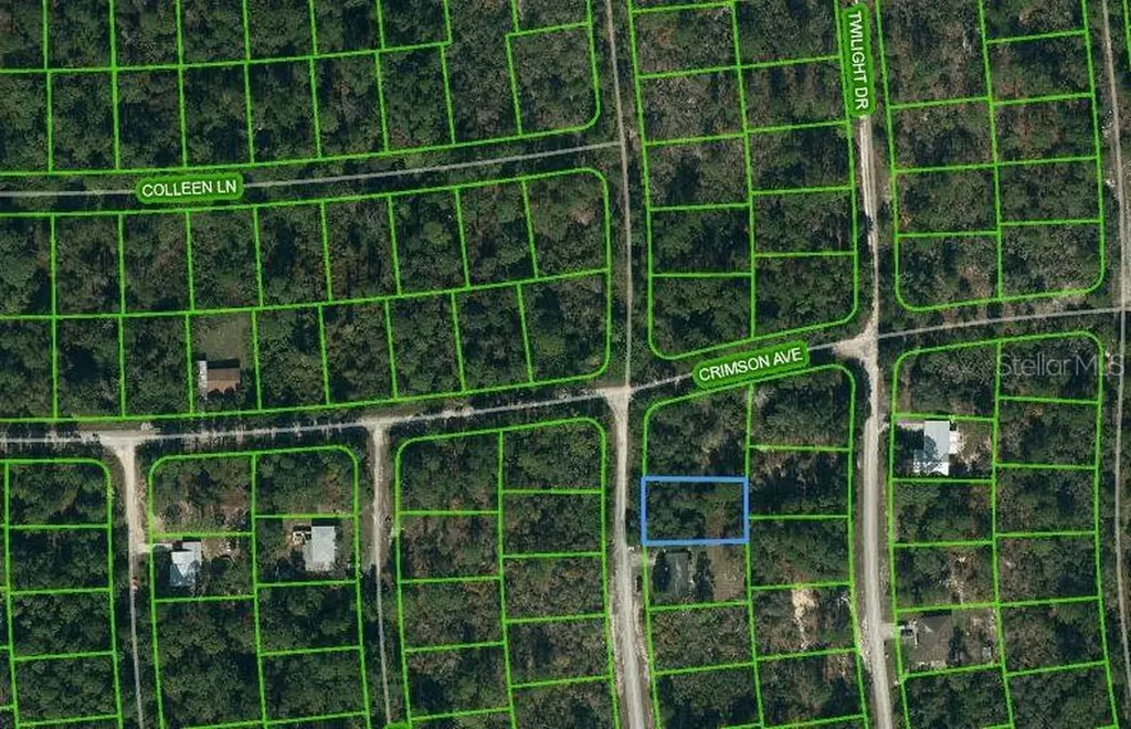 233 Dreamers Drive Lake Placid FL 33852