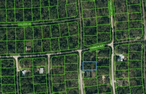 233 Dreamers Drive Lake Placid FL 33852