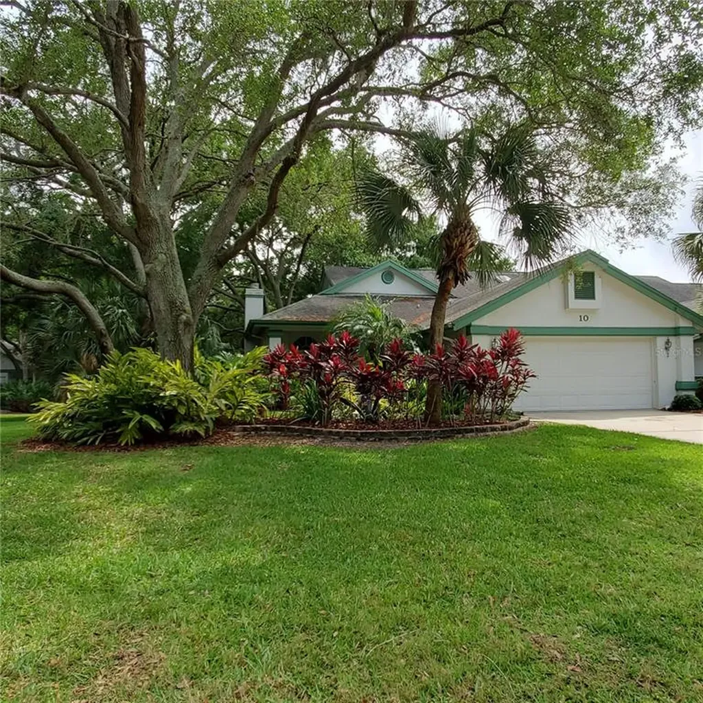 10 Woodridge Court Oldsmar FL 34677