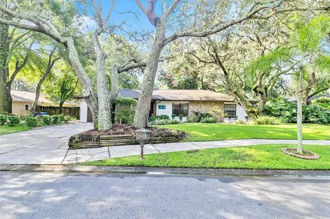 1206 Beacon Hill Drive Tampa FL 33613