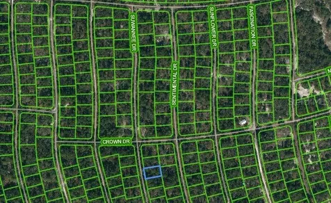 215 Suwannee Drive Lake Placid FL 33852