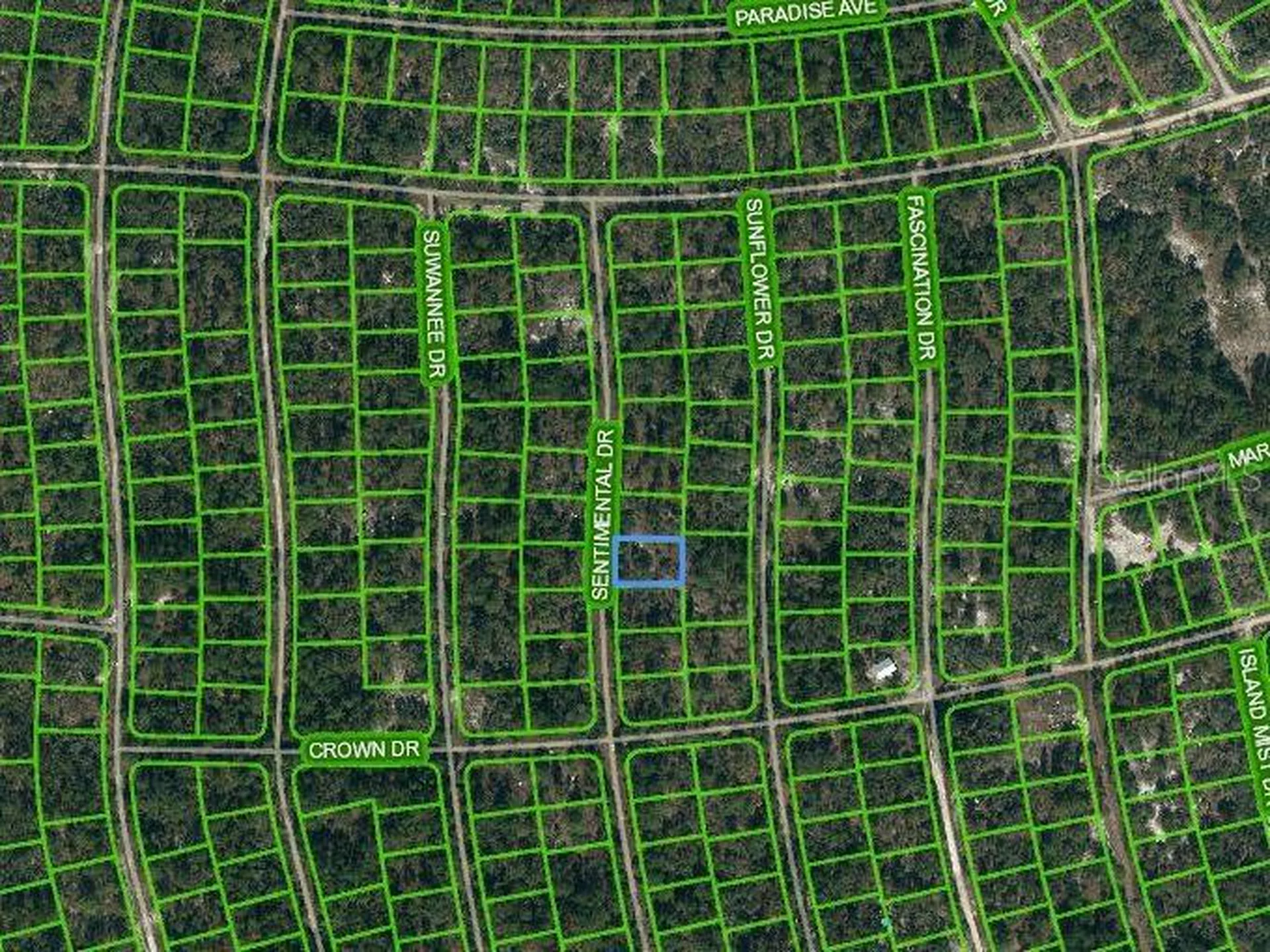 249 Sentimental Drive Lake Placid FL 33852