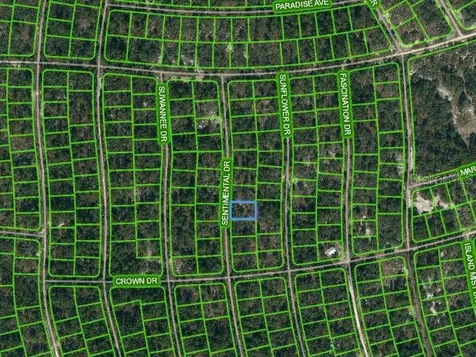249 Sentimental Drive Lake Placid FL 33852
