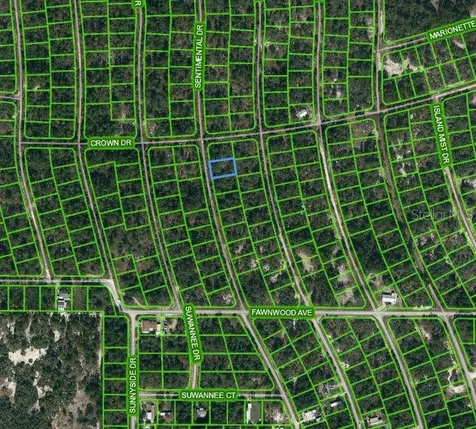 217 Sentimental Drive Lake Placid FL 33852